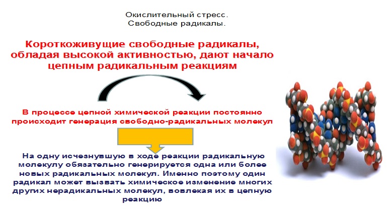 Короткоживущие свободные радикалы