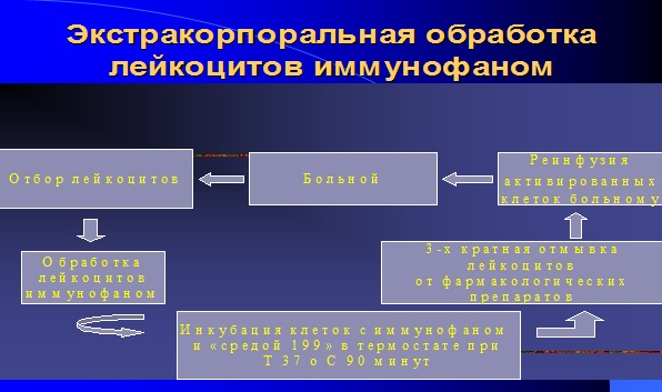 Принципиальная схема ЭИФТ иммунофаном