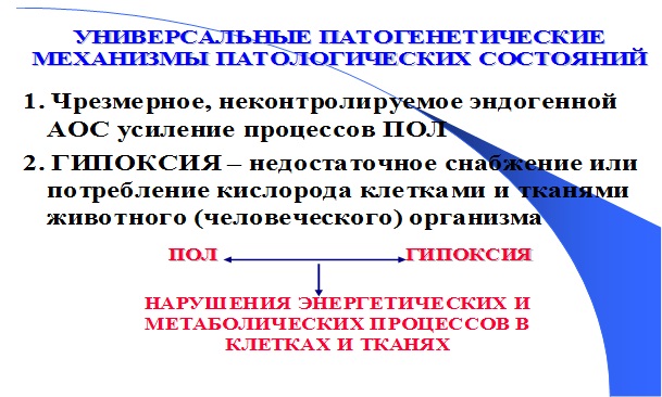 Универсальные патогенетические механизмы критических состояний