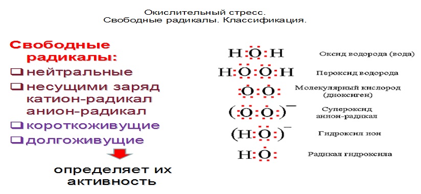 Окислительный стресс. Классификация свободных радикалов