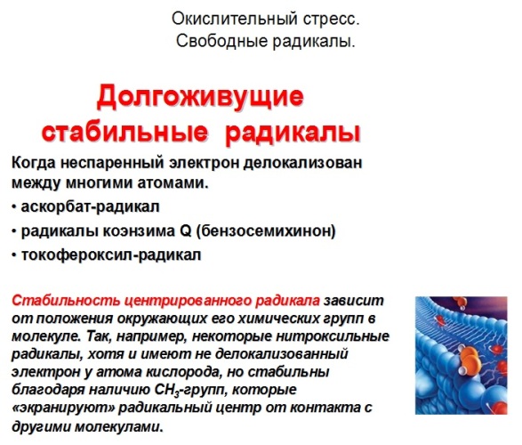 Долгоживущие стабильные радикалы