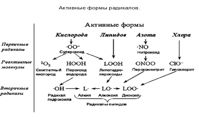 Активные формы радикалов