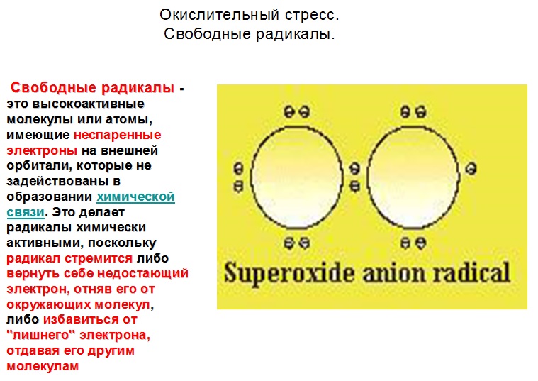 Окислительный стресс. Свободные радикалы