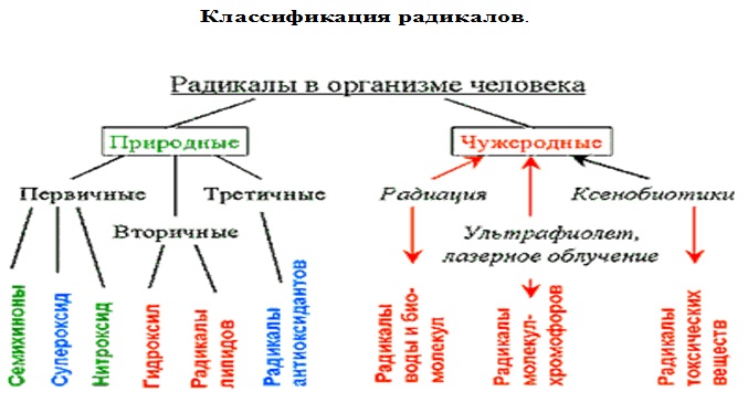Классификация радикалов