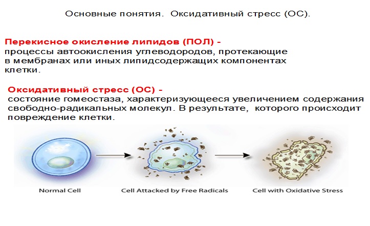 Оксидативный стресс