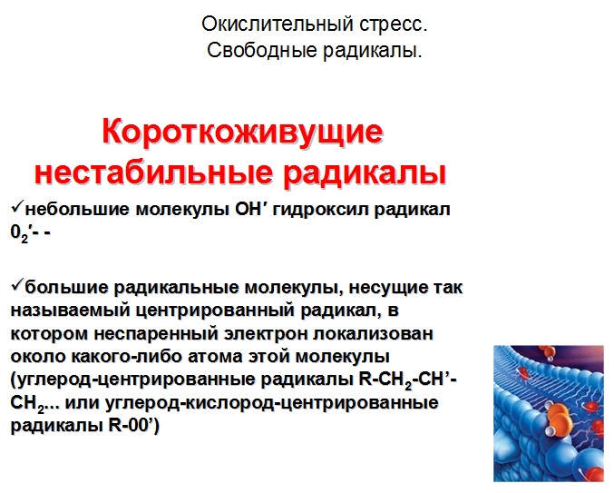Короткоживущие нестабильные радикалы
