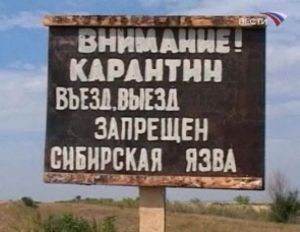 Особо опасно! Сибирская язва